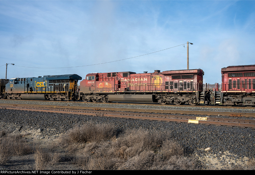 CP 8638